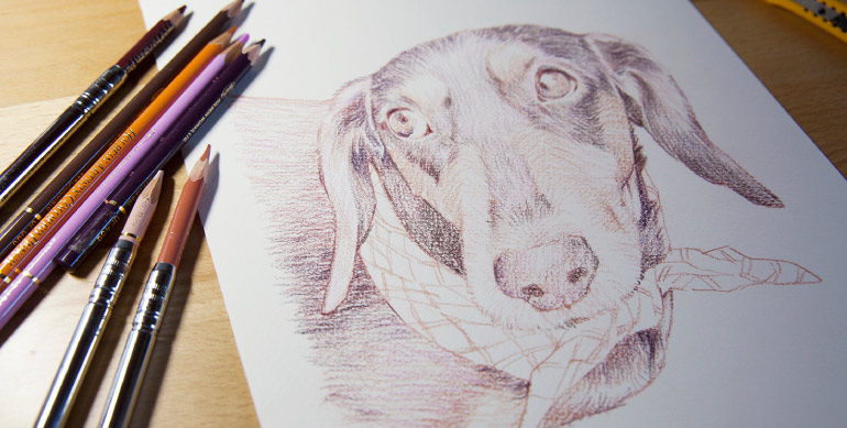 �y�b�g�ё��搻��̌��� �y�b�g���X.�O�b�Y.�Q�n��,����s,�O���s,���c�s�����i.