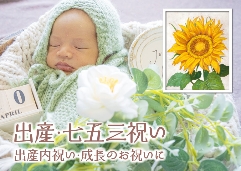 �o�Y�j���E���܎O�j���E���w�E���Ǝ��B�o�Y���j���E�����̂��j���ɁB�o�Y�j��.���܎O�j��.���w.���Ǝ�.���l��.���쌧.�����s.��o�s.�ۋT�s.�M�t�g.�C���e���A�A�[�g.�����i.