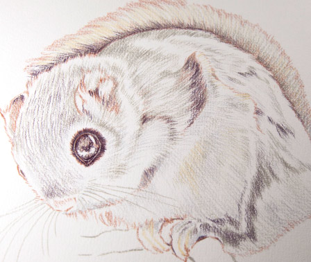 �y�b�g�ё���.�����A�[�g.���쌧.�����s.��o�s.�ۋT�s.�C���e���A�A�[�g.�v���[���g.���蕨.