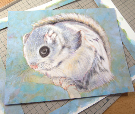 �y�b�g���X,�y�b�g�ё���.�����A�[�g.���쌧.�����s.��o�s.�ۋT�s.�C���e���A�A�[�g.�v���[���g.���蕨.