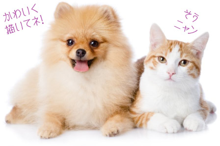 ���������l�R����� �l�����̂��Ƃ��킢���`���Ă�! �y�b�g���X.�O�b�Y.�Q�n��,����s,�O���s,���c�s�����i.